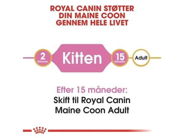 Royal Canin Maine Coon Kitten tørrfôr til kattunger 4 kg