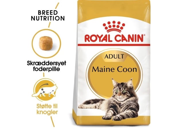 Royal Canin Maine Coon, Aikuinen, Maine Coon, 4 kg, Antioksidantit sisältyvät