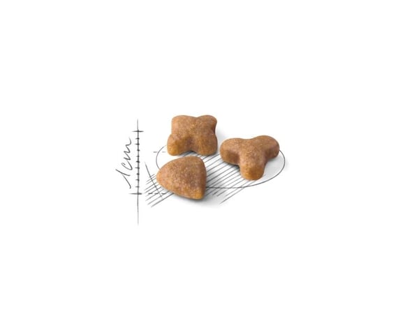 Royal Canin Sensible 33, Voksen, 400 g