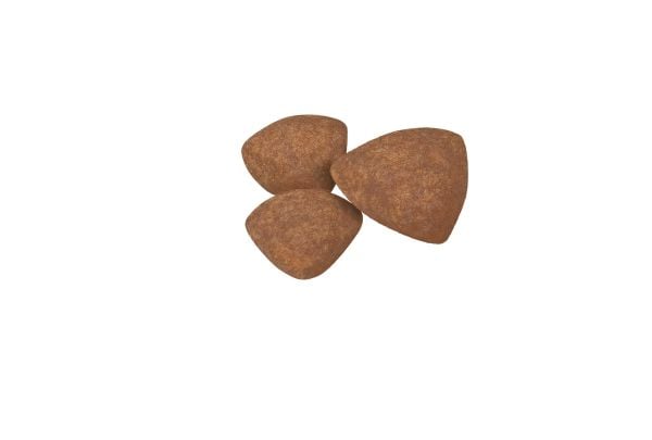 Royal Canin SHN Mini Puppy BF 800g