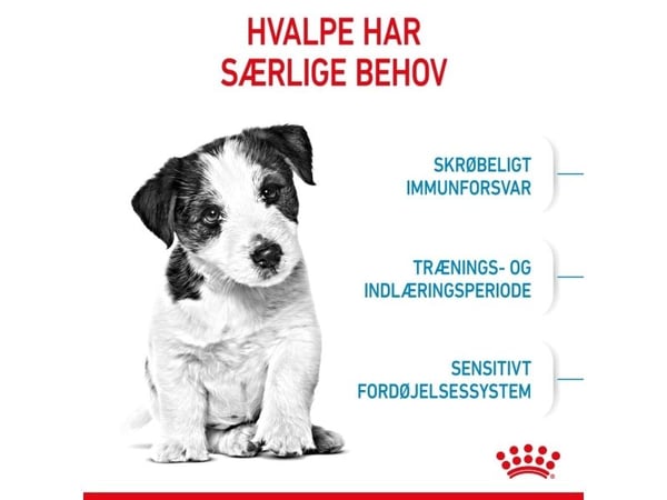 Royal Canin SHN Mini Puppy BF 800g