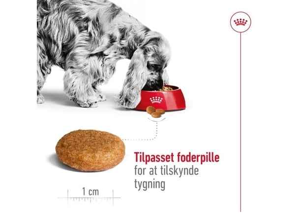 ROYAL CANIN SHN Medium Adult - kuivaruoka koirille - 15kg