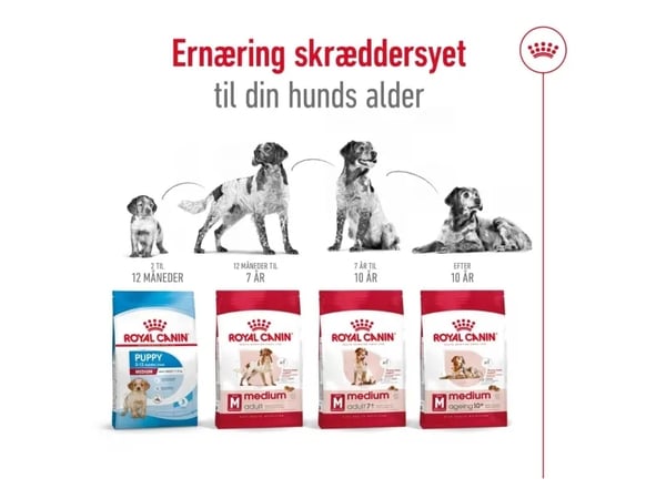 Royal Canin SHN Medium Adult BF torrfoder 4 kg