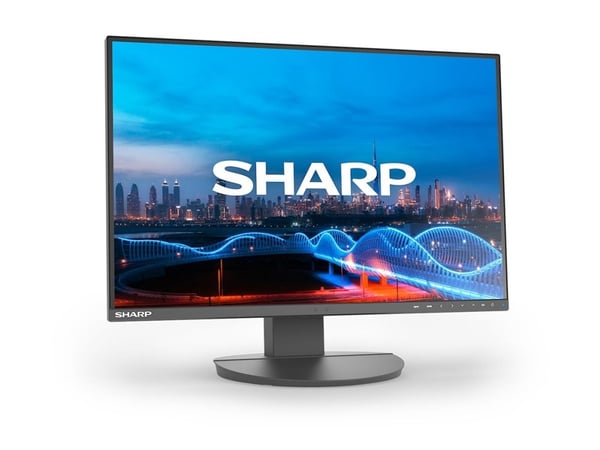 Sharp MultiSync EA241W - LED-skjerm - 24" (23.8" synlig) - 1920 x 1200 - IPS - 300 cd/m² - 1000:1 - 5 ms - HDMI, DVI-D, VGA, DisplayPort - høyttale...