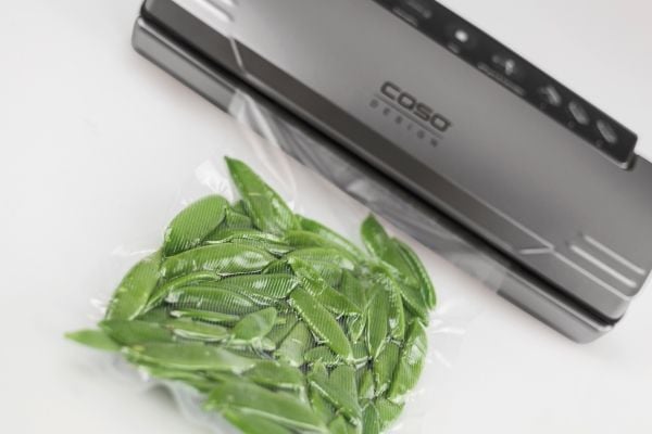 Caso VC 10 PlusEdition, Svart, Silver, Plast, Röra, GS/CE, 110 W, 220 - 240 V