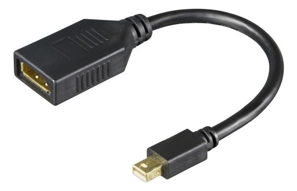 DELTACO - DisplayPort-adapter - Mini DisplayPort (hann) til DisplayPort (hunn) - 20 cm - passiv, opptil 21,6 Gbps datahastighet, støtte for 1920 x ...