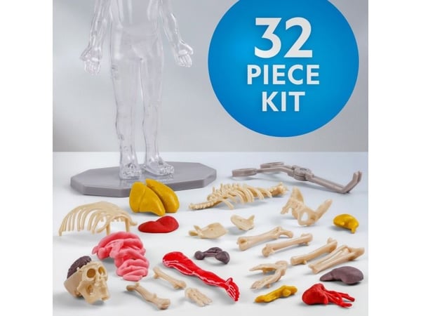 National Geographic Human Body Science Kit