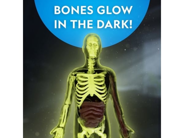National Geographic Human Body Science Kit