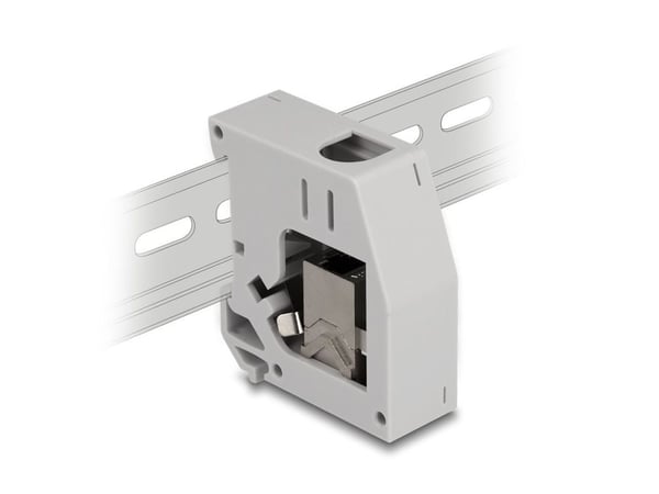 Delock - Monteringsadapter for DIN-skinne - with keystone module - CAT 6a - STP - RJ-45 - grå