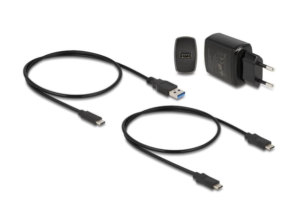 Delock - SSD-dockningsstation - fack: 2 - M.2 - M.2 NVMe Card - USB 3.2 (Gen 2) - svart