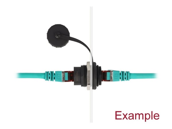 Delock - Modulaarinen insertti (liitin) - sisäänrakennettu, pölysuojuksella - CAT 6a - RJ-45 - musta