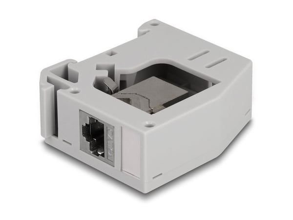 Delock - Monteringsadapter for DIN-skinne - with keystone module - CAT 6a - STP - RJ-45 - grå