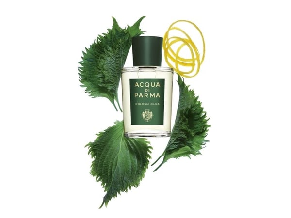 Acqua Di Parma miesten hajuvesi Acqua Di Parma EDC Colonia C.L.U.B. 180 ml