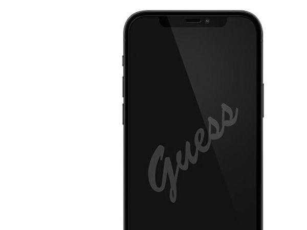 Guess karkaistu lasi GUSPP12SSLTR iPhone 12 mini 5.4" Vintage Magic logo