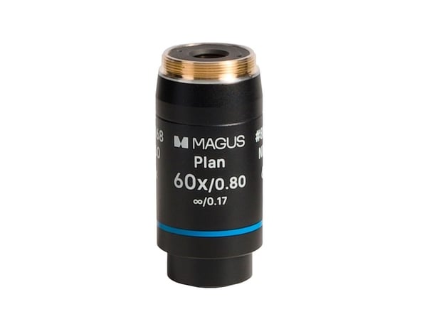 MAGUS 60PL60 Plan 60х/0,80 ∞/0,17 H60mm Objektiv MAGUS 60PL60 Plan 60х/0,80 ∞/0,17 H60mm Objektiv