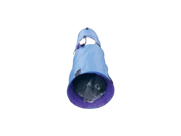 Rosewood Activity Tunnel