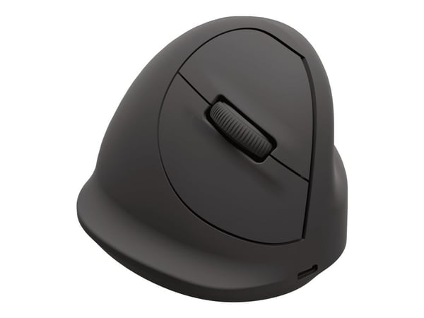 Fellowes 100143582, Oikeakätinen, Vaakasuuntainen muotoilu, Optinen, Bluetooth + USB Type-C, 2400 DPI, musta