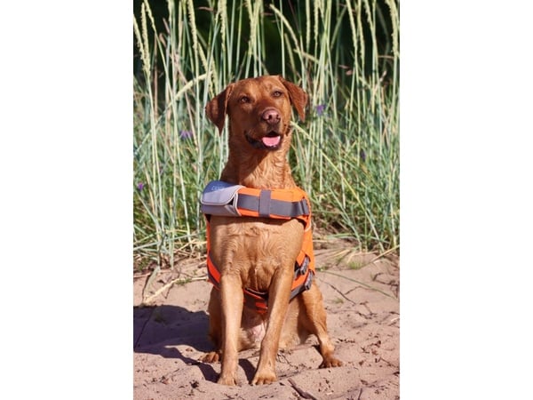 Wrangler flytväst XXL <45 kg