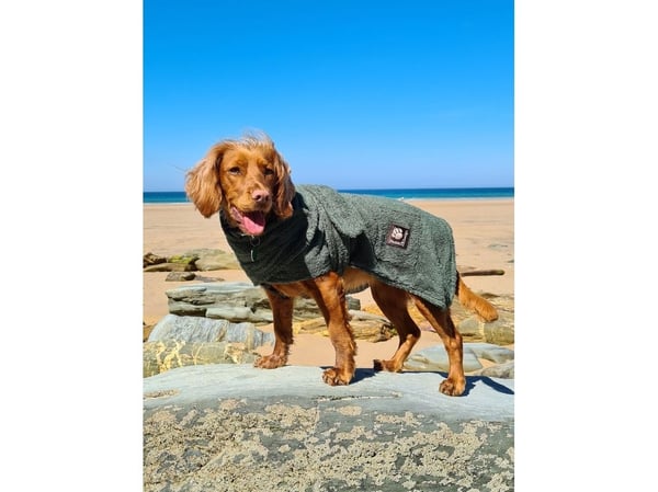 Dog Bath Robe Green 70cm