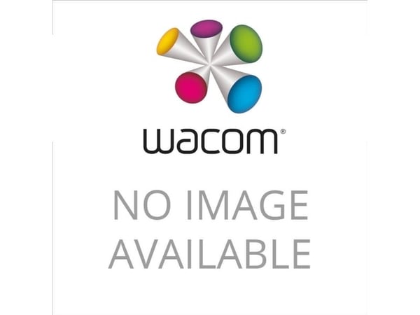 Wacom - USB-adapter - USB-C (hann) til USB (hunn)