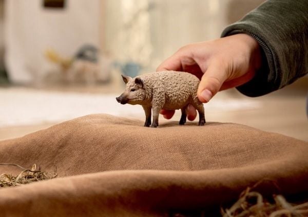 Schleich Mangalica