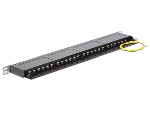 Delock - Koblingspanel - CAT 6 - RJ-45 X 24 - kullsort, RAL 9005 - 0.5U - 19"