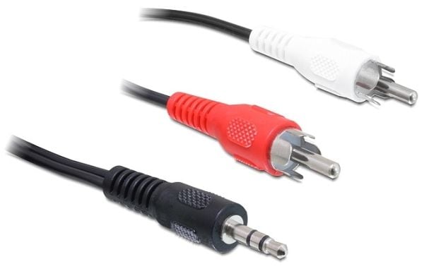 Delock - Lydkabel - mini-phone stereo 3.5 mm hann til RCA x 2 hann - 3 m - svart