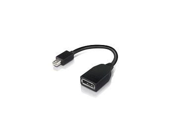 Lenovo - DisplayPort-adapter - Mini DisplayPort (hann) til DisplayPort (hunn) - 17.6 cm - for ThinkCentre M70; M75t Gen 2; M80; M90; ThinkStation P...