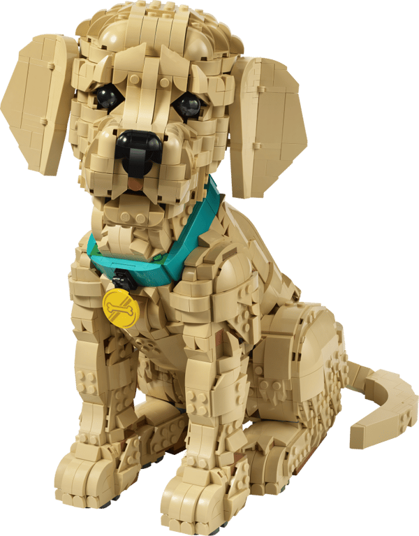LEGO Icons Golden retriever valp 11384