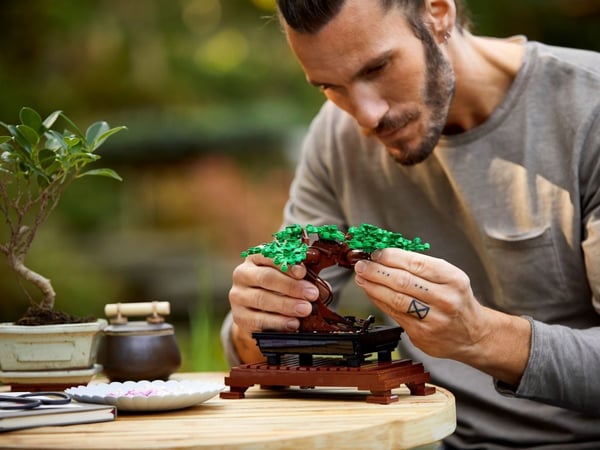 LEGO Botanical Collection Bonsaiträd 10281