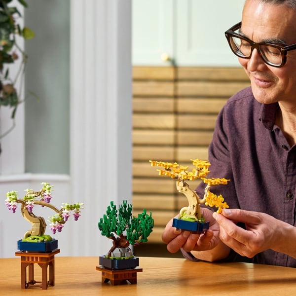 LEGO Botanicals Små bonsaiträd 10373