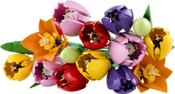 LEGO Botanicals Bukett med tulpaner 11501