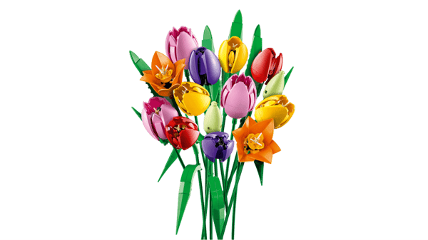 LEGO Botanicals Bukett med tulpaner 11501