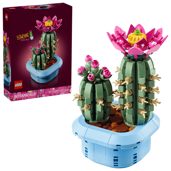 LEGO Botanicals Blommande kaktus 11509
