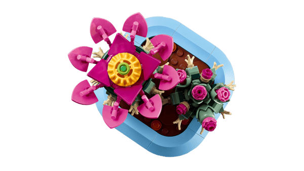 LEGO Botanicals Blommande kaktus 11509