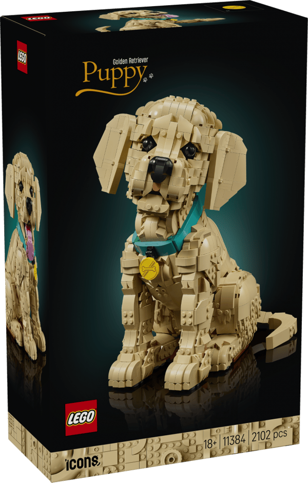 LEGO Icons Golden retriever valp 11384