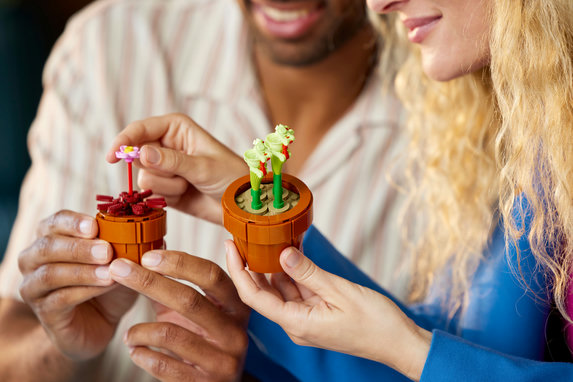LEGO Botanical Collection Små växter 10329