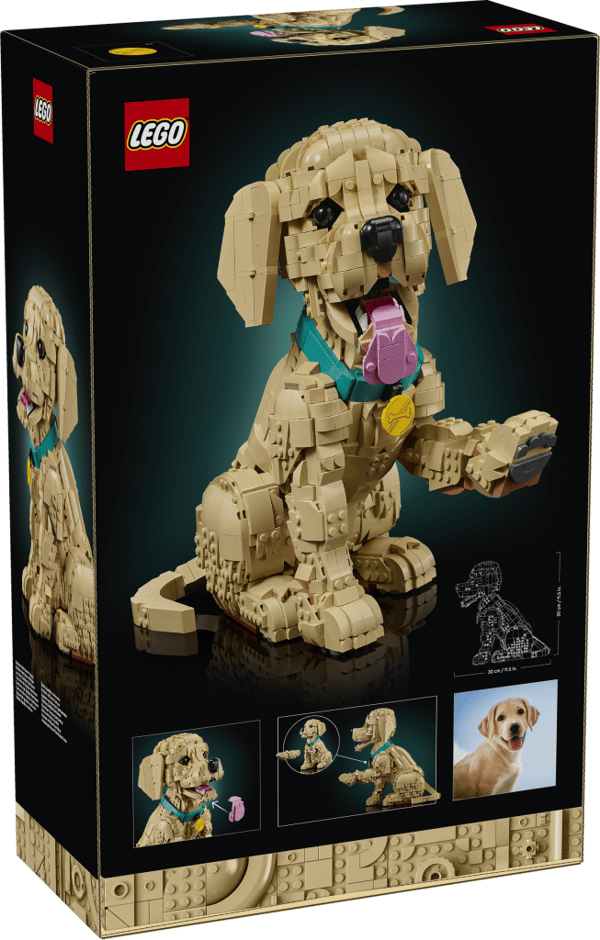 LEGO Icons Golden retriever valp 11384