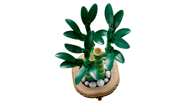 LEGO Botanicals Bambudracena 10344