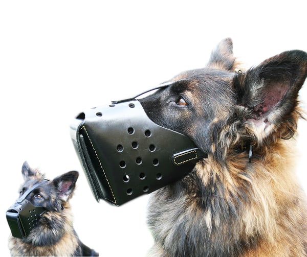 Dog Security Väktarhundmunkorg, Schäfer, storlek 10 Hane