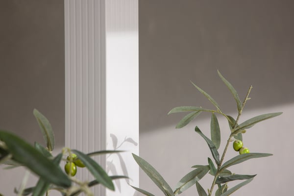 Pergola, Lazio, 300x300x250 cm, Valkoinen