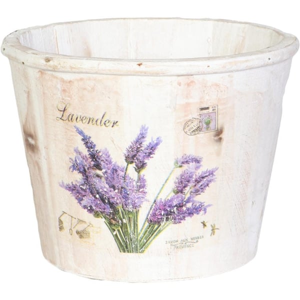 Dekorative lavendelplanter i hvid spand