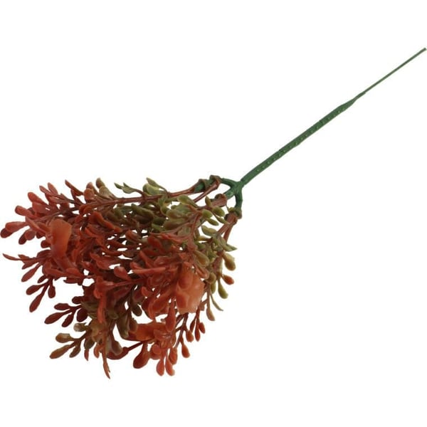 Punainen puksipuun oksa sisustuskoristeeksi - 20 cm