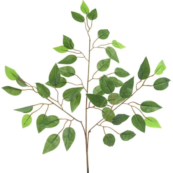 Trippel Benjaminblad växtkvist grön 60 cm