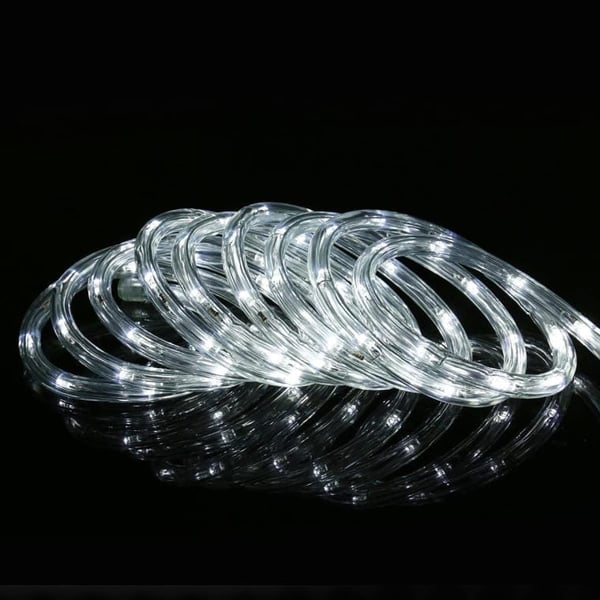 LED-snäcklampor 6 m med programmerare neon