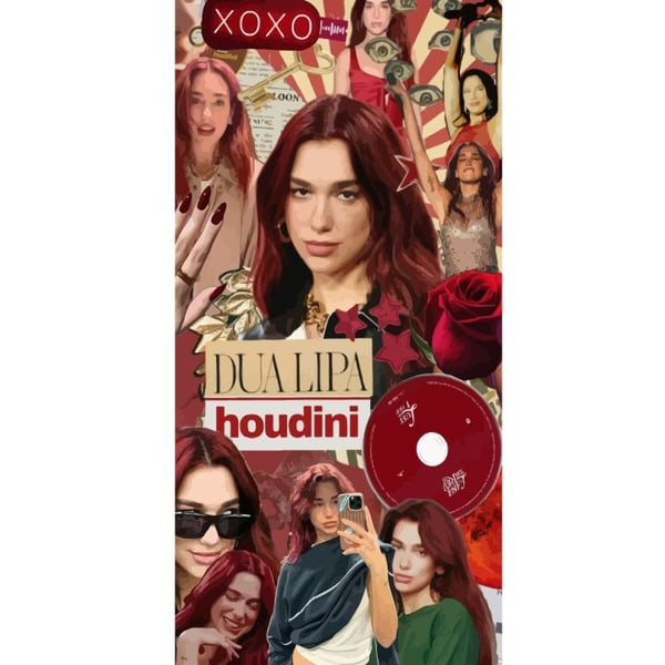 Yhteensopiva Lompakkokotelo Apple iPhone 13 Pro Dua Lipa – Fashion & Style Edit