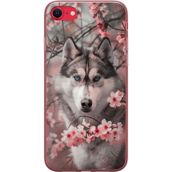 Kompatibelt Mobildeksel til Apple iPhone SE (2022) Husky med blå øyne blant rosa kirsebærblomster – vakkert, naturinspirert og detaljrikt motiv.