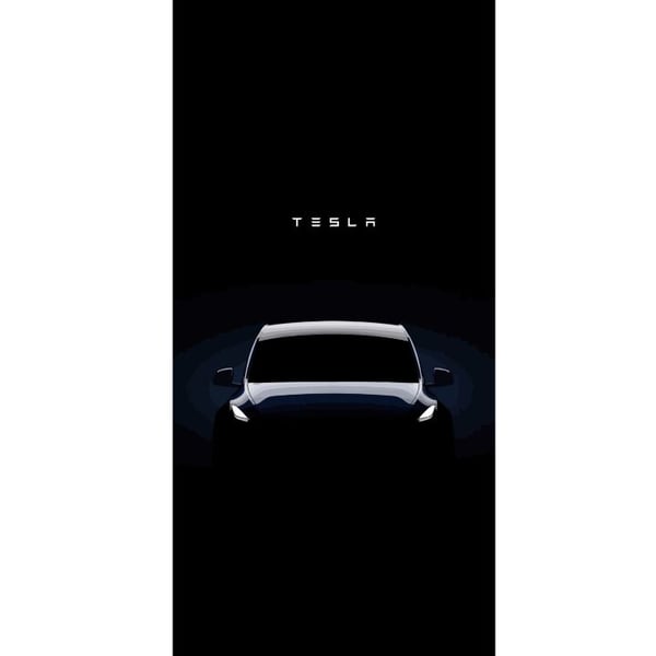 Kompatibel Tegnebogsetui til Apple iPhone 13 Pro Tesla
