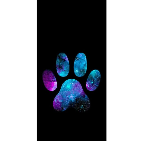 Yhteensopiva Lompakkokotelo Apple iPhone 13 Pro Galaksin Tassu