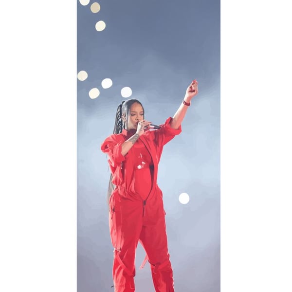 Yhteensopiva Lompakkokotelo Apple iPhone 13 Pro Rihanna – Trendsetting Looks & Style